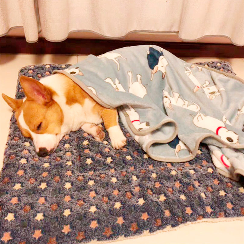 SafeBlanket®
