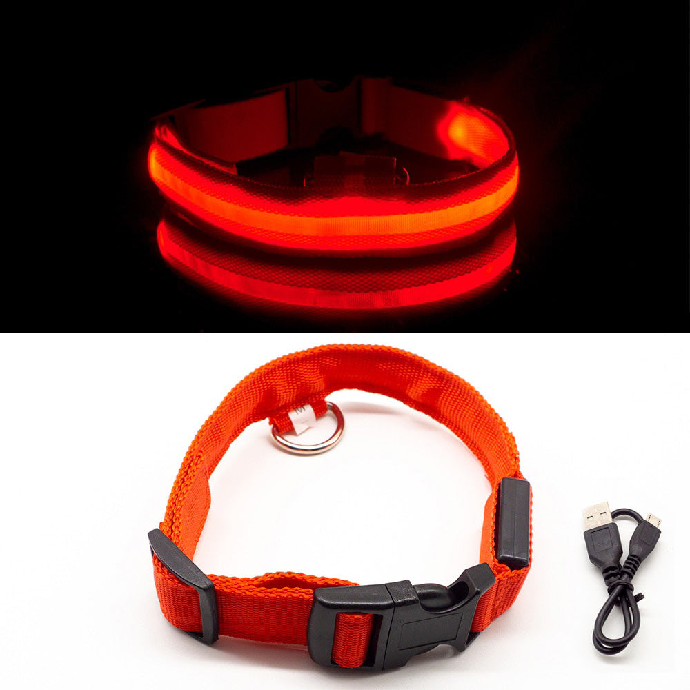 SafeWalk®