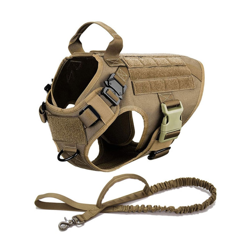 PetSafety®