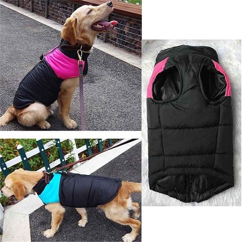 PetJack®