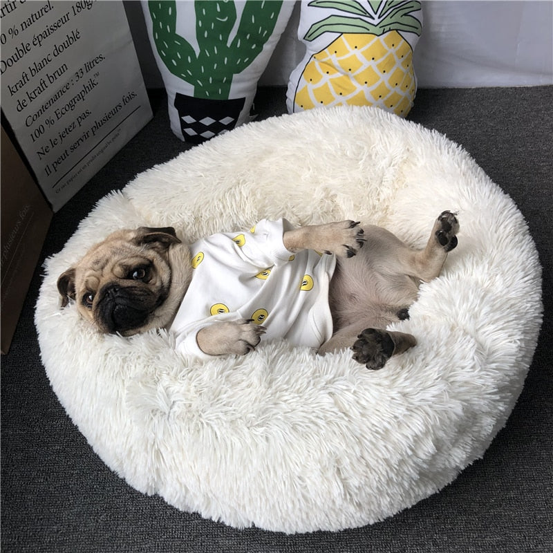 WolkePet®