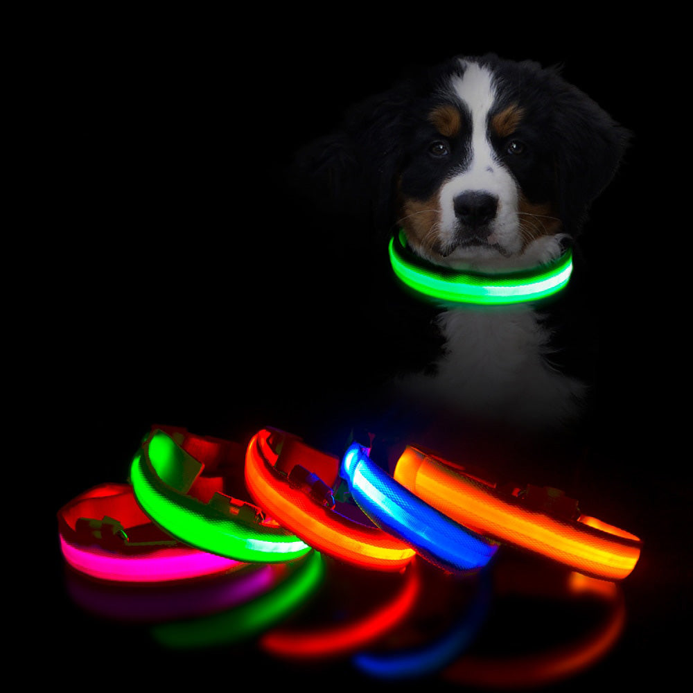 SafeWalk®