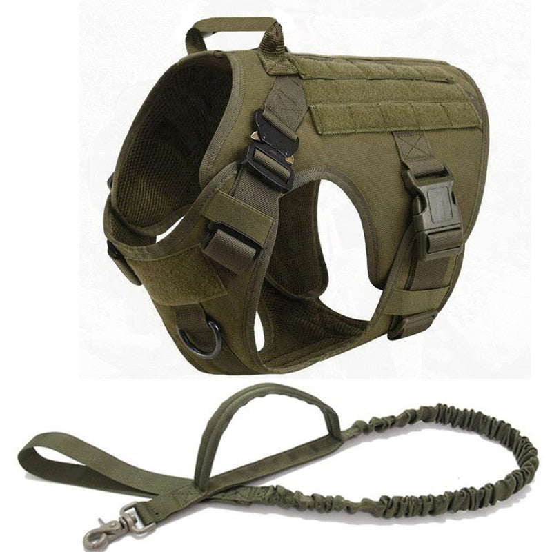 PetSafety®