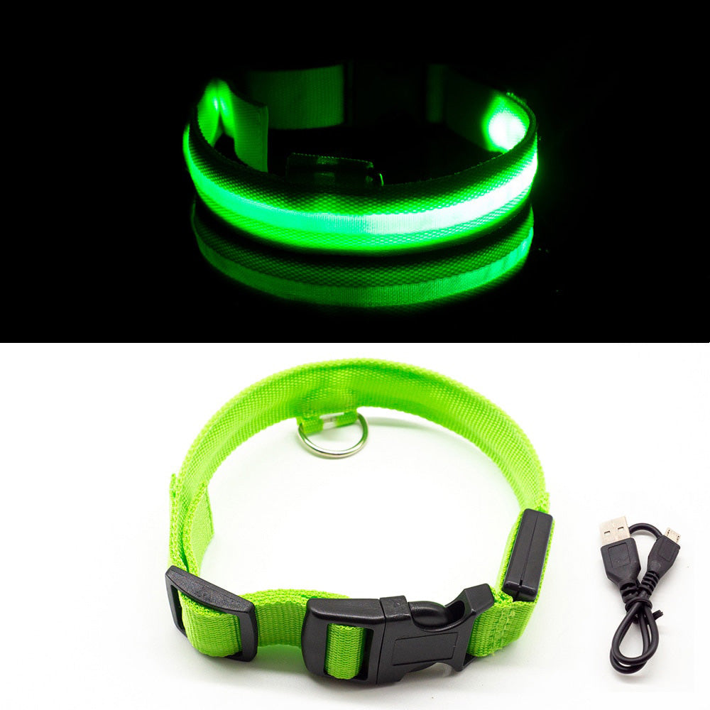 SafeWalk®