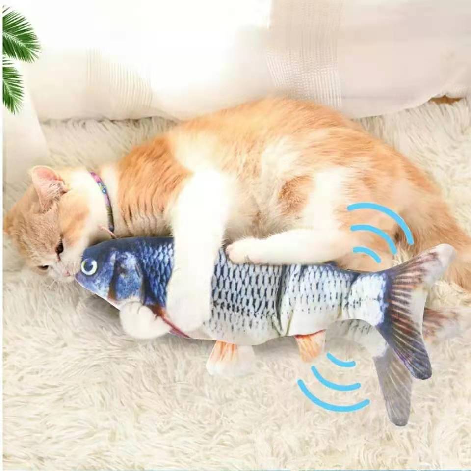 PetFun®